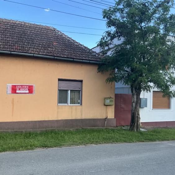Casă individuală cu 3 camere cu Teren 3300 Mp în Central