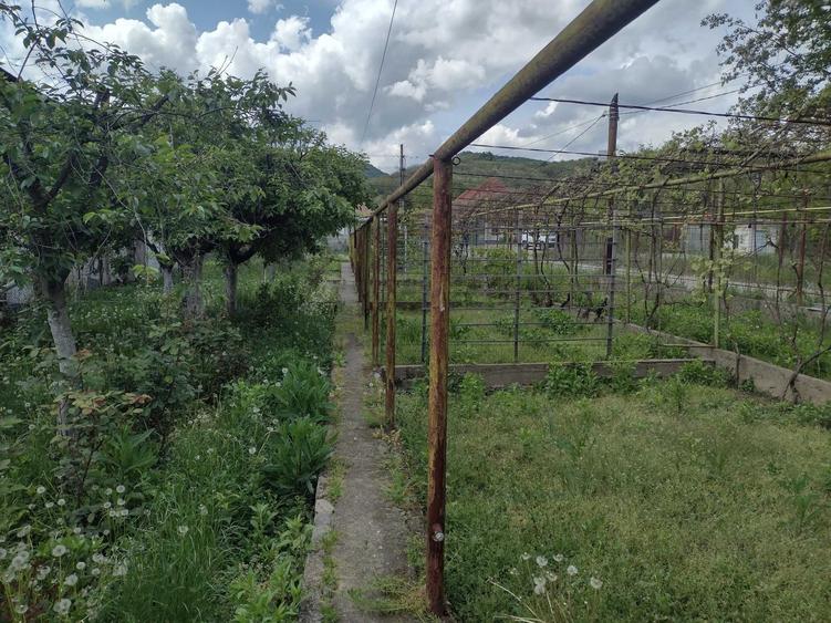 Casă cu 4 camere cu Teren 2000 Mp în Gura Văii