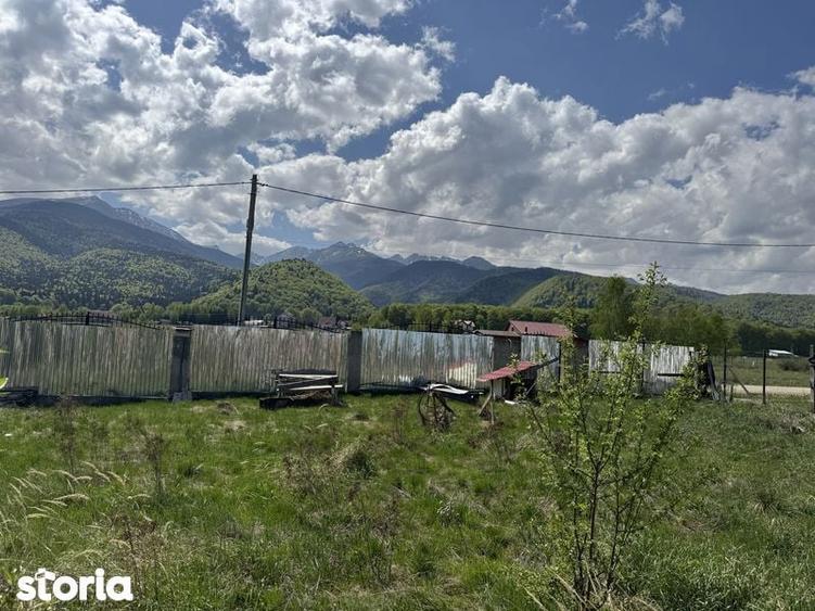 Teren de 4542 mp, în Sâmbăta de Sus