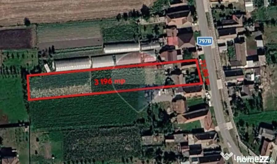 Casă cu 4 camere cu Teren 3196 Mp în Mădăras