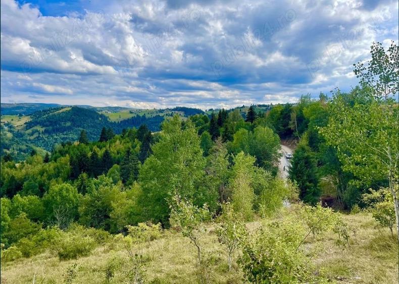 Teren de 8461 mp, în Mărișel