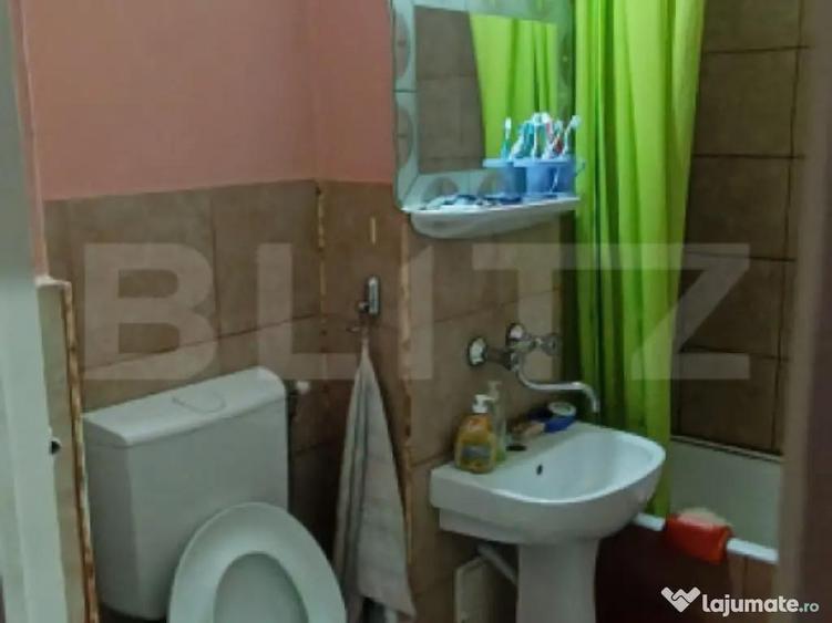 Apartament 3 camere, 2 bai, mobilat, central Ludu? - 1