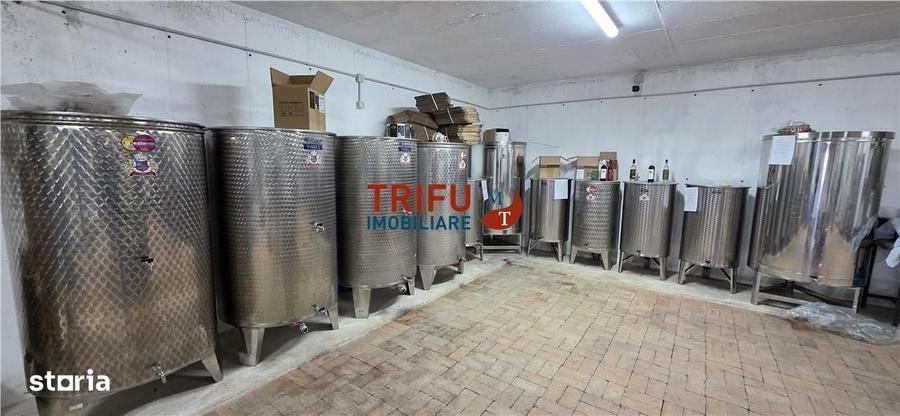 Casă cu 4 camere în Cricău