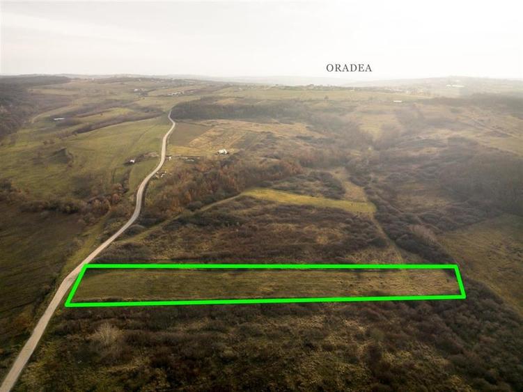Teren Construcții intravilan de 6895 mp, în Uileacu de Munte