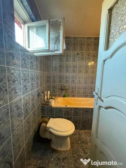Investitie pentru liniste si oaza de verdeata - 12