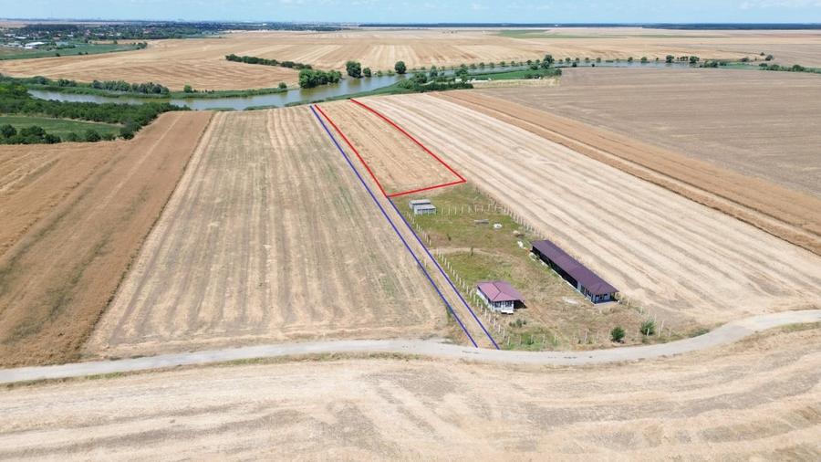 Teren Construcții extravilan de 6500 mp, în Frumușani