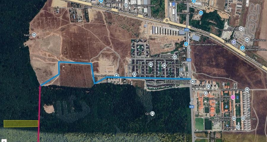 Raritate absolută: Teren 20.000 mp în inima Padurii Băneasa - 4