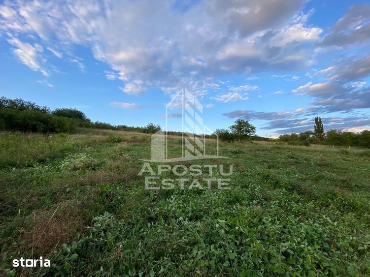 Teren de 1357 mp, în Central