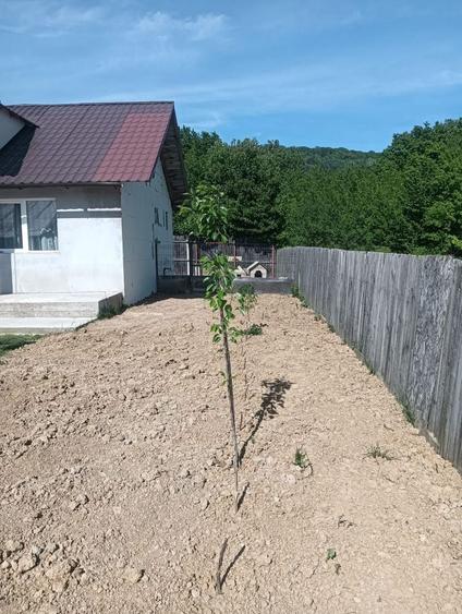 Casă individuală cu 2 camere cu Canalizare în Pietrăria