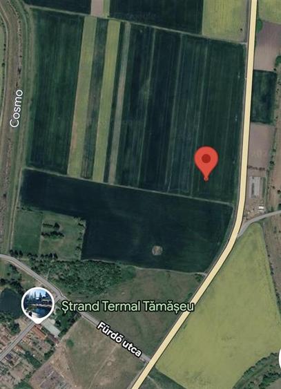 Teren agricol extravilan de 28700 mp, în Tămășeu