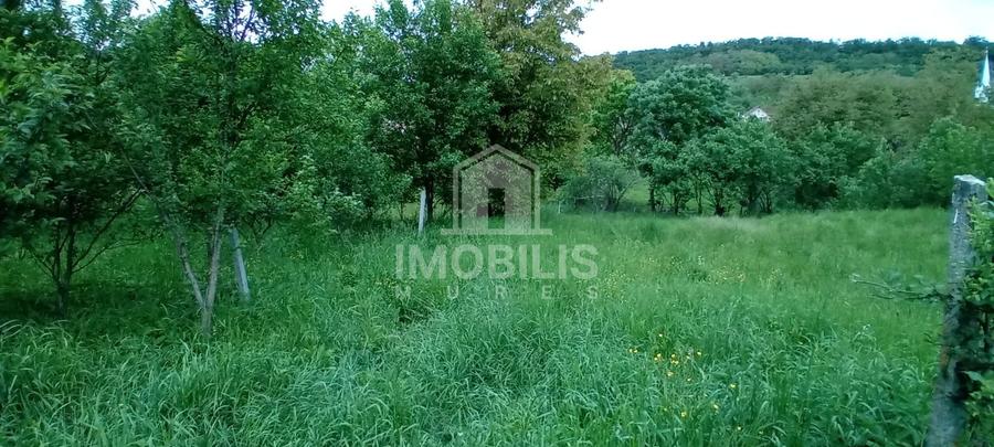 Teren Construcții intravilan de 994 mp, în Budiu Mic