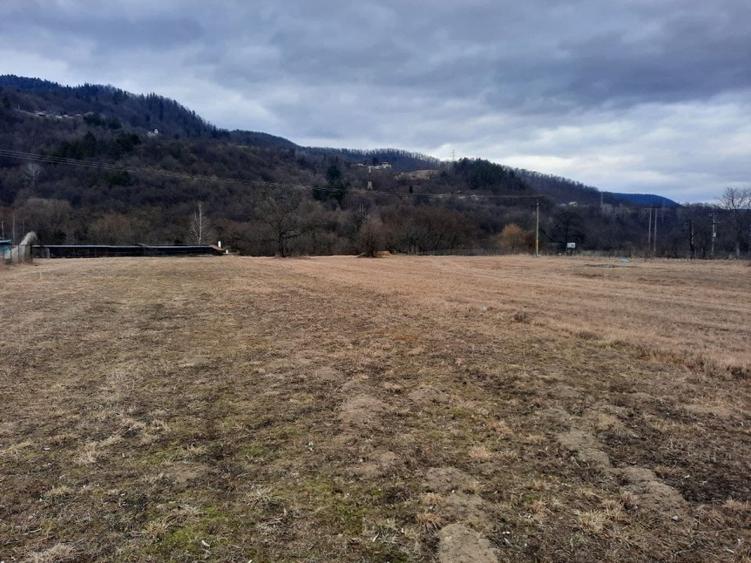 Teren Construcții intravilan de 2045 mp, în Alexandru cel Bun