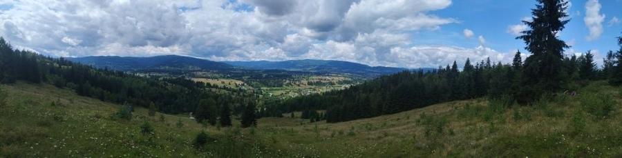 Vand teren in panaci - 2