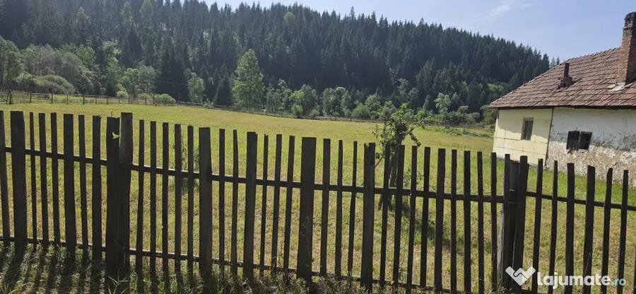 Teren de 1500 mp, în Central
