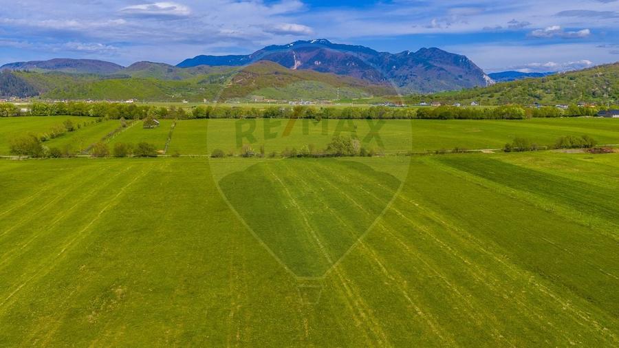 Teren agricol extravilan de 3000 mp, în Pănicel