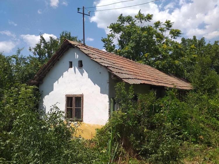 Vand Casa in Diosti, jud Olt cu teren 2500m2 - 4