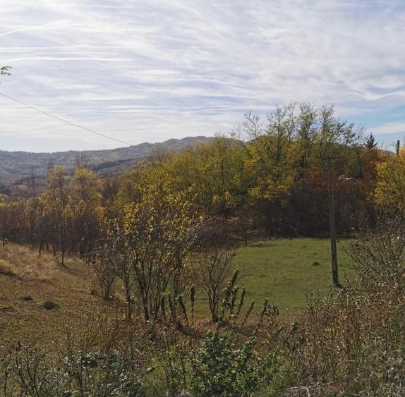 Teren 2500 mp Predeal Sarari, Vitioara de Sus  - 3