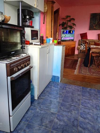 Casă cu Teren 11000 Mp în Sălișca
