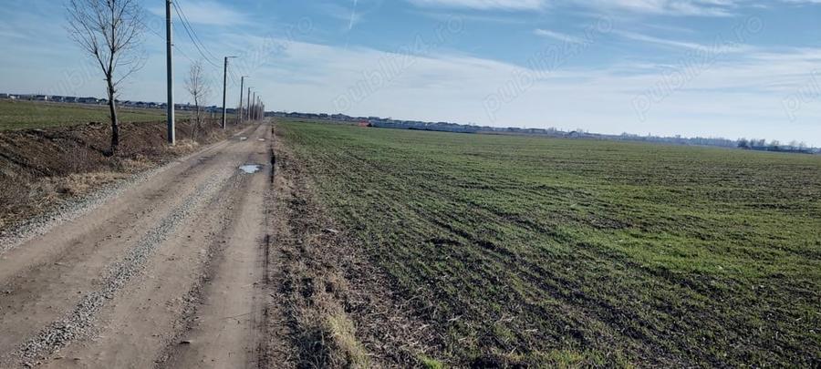 Teren de 700 mp, în Odăile