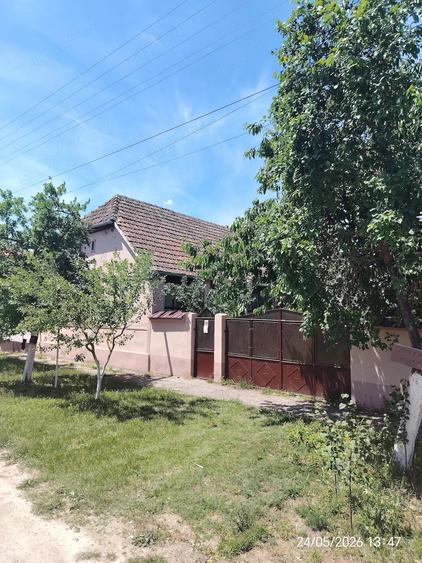 Casă cu 3 camere cu Teren 1500 Mp în Secusigiu