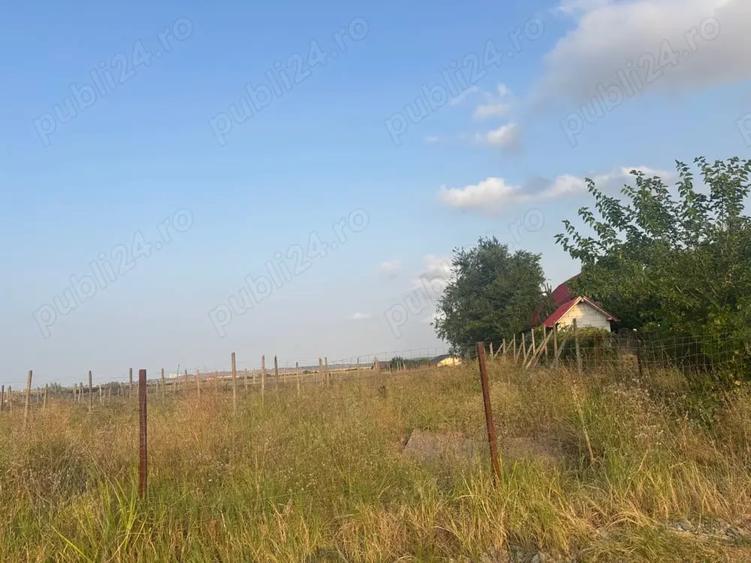 Teren de 5000 mp, în Mineri