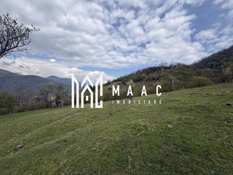 Teren agricol extravilan de 7750 mp, în Câinenii Mici