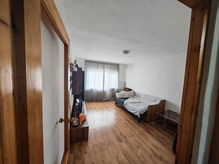 Garsonieră decomandată în Nufărul