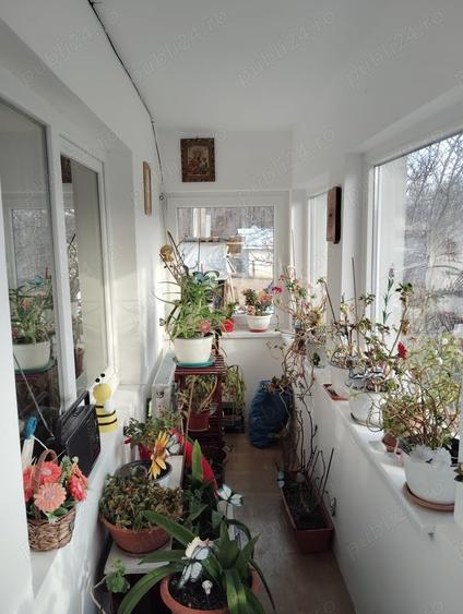 Casă cu 3 camere cu Teren 13000 Mp în Stănița