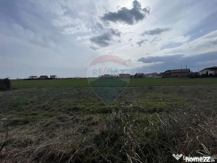 Teren de 73351 mp, în Sud