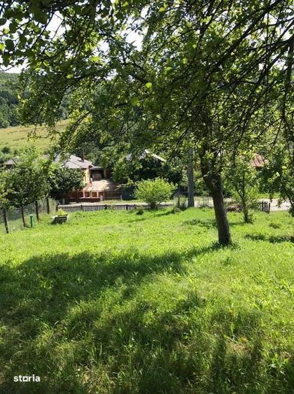 Teren de 1000 mp, în Băbana