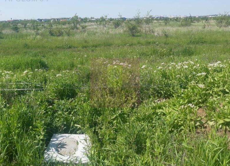 Teren Construcții intravilan de 29000 mp, în Est