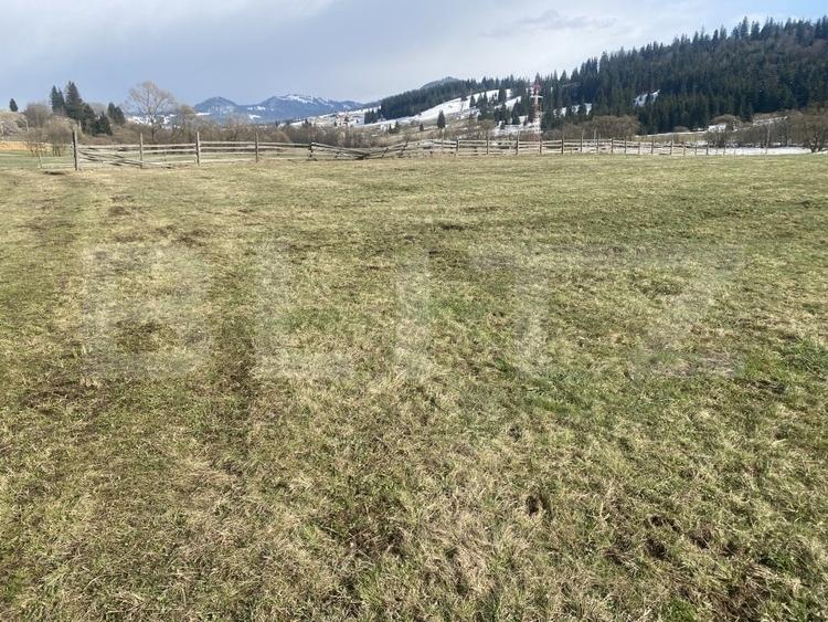 Teren Construcții intravilan de 12500 mp, în Coșna