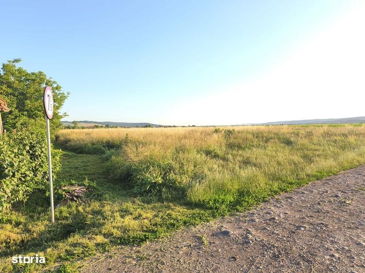 Teren intravilan 3500 mp in Ernei, cu utilitati langa teren! - 2