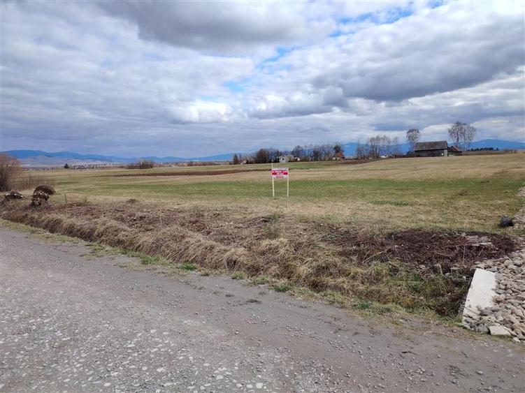 Teren Construcții intravilan de 2810 mp, în Sineu