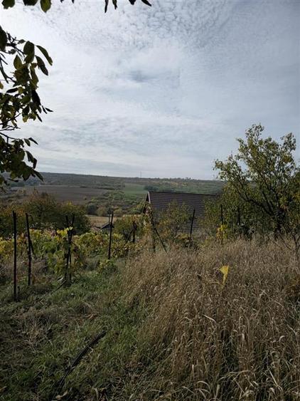 Casă individuală cu 3 camere cu Teren 3841 Mp în Schitu Duca