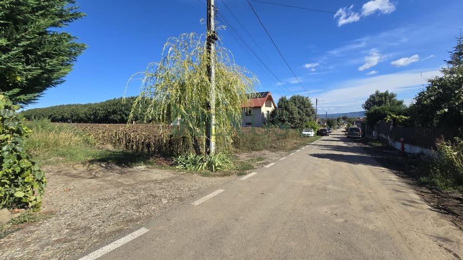 Teren Construcții intravilan de 1750 mp, în Nicolae Bălcescu