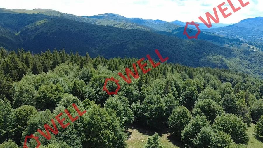 Teren agricol extravilan de 23000 mp, în Vama Buzăului
