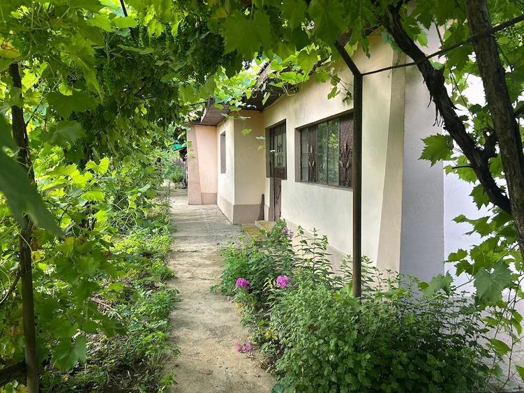 Casă cu 4 camere cu Teren 1315 Mp în Dridu