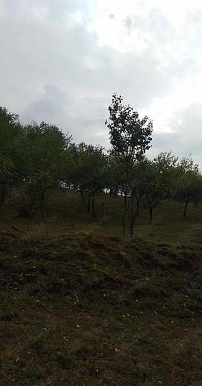 Teren de 4600 mp, în Central