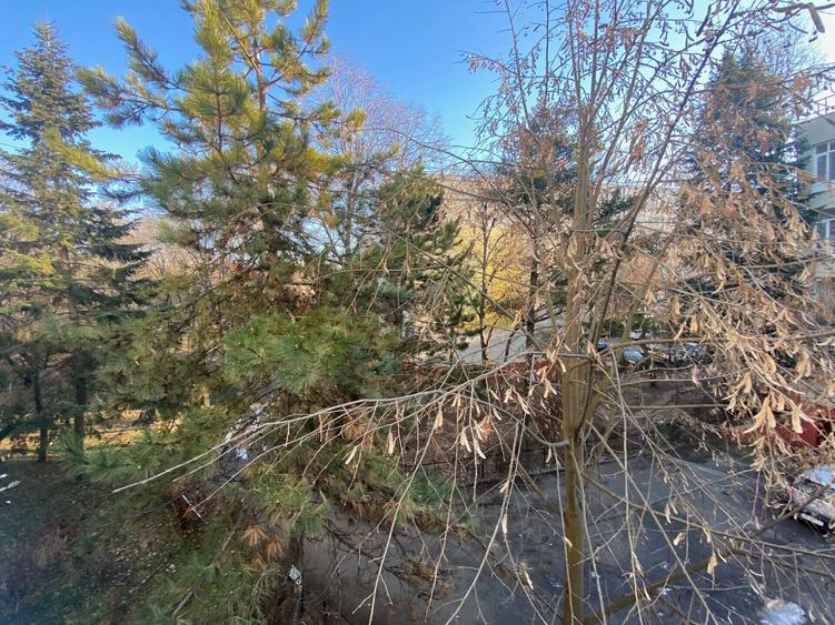 Apartament cu 2 camere semidecomandat, mobilat în Pajura