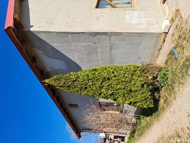 Casă cu 5 camere cu Teren 1500 Mp în Traian