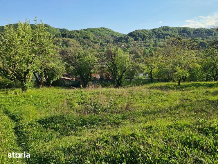 Teren de 950 mp, în Păușești