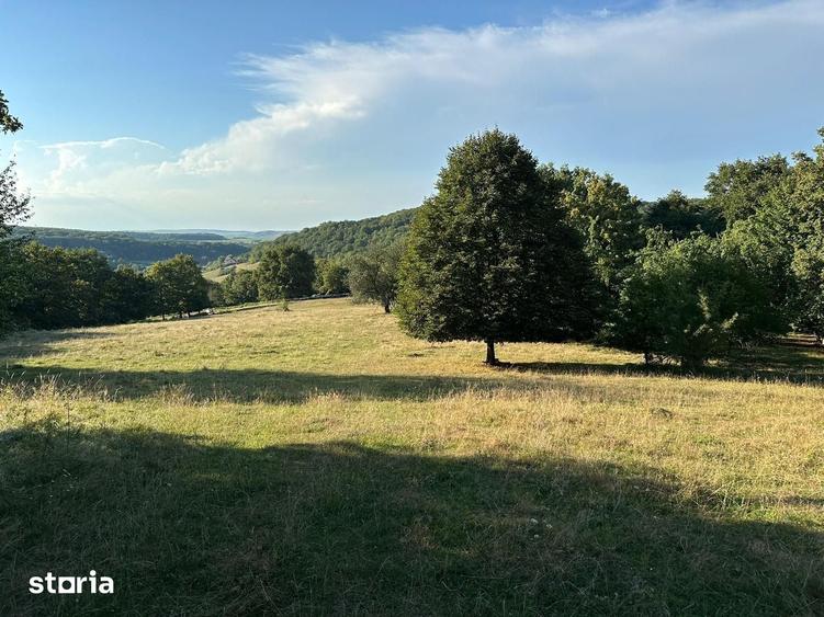 Teren de 18000 mp, în Slimnic