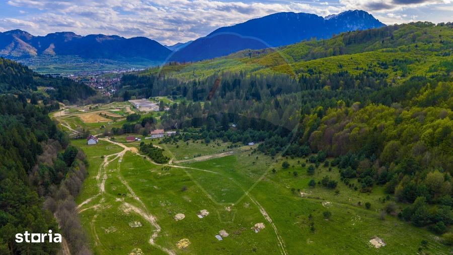Teren de 10000 mp, în Brebina