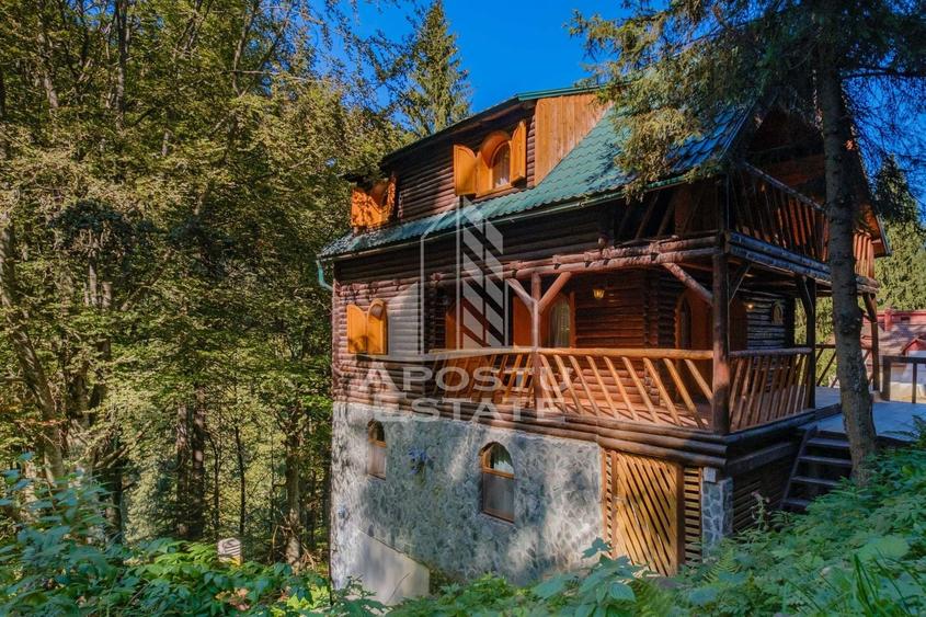 Pensiune, casa de vacanta, 6 camere, statiunea Rausor din Hunedoara - 21