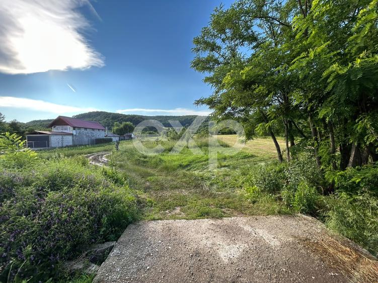 Teren Construcții intravilan de 8214 mp, în Mioveni
