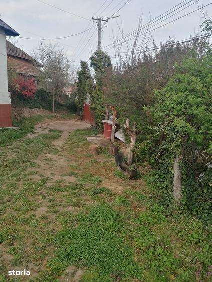Casă cu 4 camere cu Teren 900 Mp în Sânmihaiu Almașului