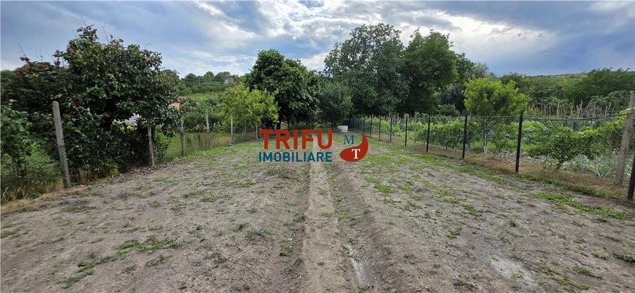 Casă individuală cu 3 camere cu Canalizare în Cricău