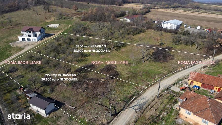 Teren de 6650 mp, în Remetea Chioarului