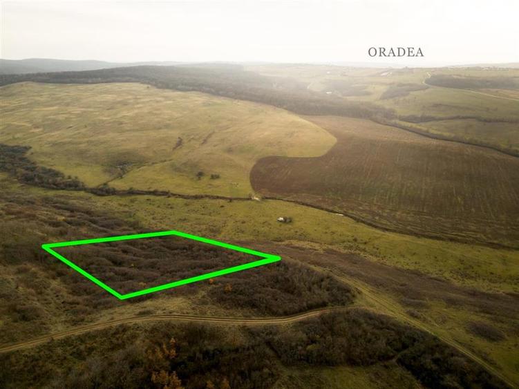 Teren Construcții intravilan de 4278 mp, în Uileacu de Munte